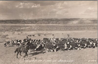 #ad RPPC Postcard Cowboy Herding Cows Round Up Time in Arizona AZ $25.00