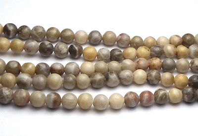 #ad 15quot; Strand quot;Petoskeyquot; FOSSIL CORAL 3.5mm Round Beads NATURAL $12.65