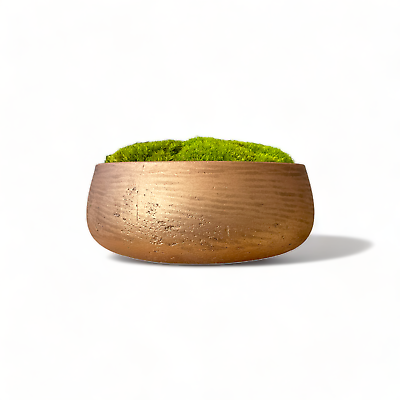 #ad Golden Copper Moss Bowl 15quot; Centerpiece Concrete Decor Preserved Mood Moss $169.77
