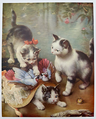 #ad Mischievous Kittens Vintage Carl Reichert Victorian Style 8x10 Print $9.99