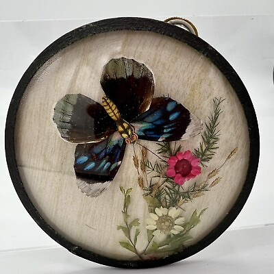 #ad Vintage Dried Flower Real Butterfly Round Framed Taxidermy Wall Art Blue Pink $34.99