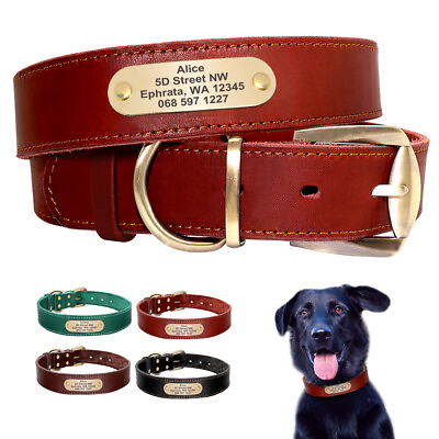 #ad Genuine Leather Personalized Custom Dog Collar Free Engraved Name Address Phone $13.99