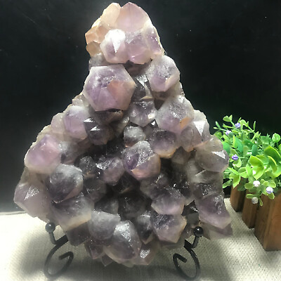 #ad 1830g Natural Purple Crystal Quartz Amethyst Geode Clusters 01 $239.00