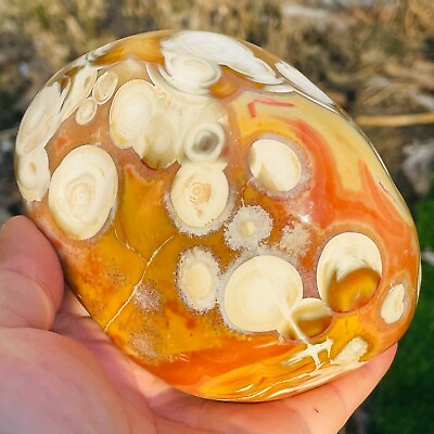 #ad 2.46lb Large Natural Colourful Agate Eye Agate Geode Crystal Healing Collection $380.00
