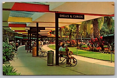 #ad Covered Promenade Shells Curios Gift Shops Silver Springs FL Postcard $5.00