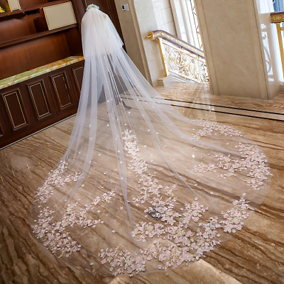 #ad 2023 Wedding Veils Long 2 Tiers Blusher Bridal Veil Lace Edge Flowers Floral $70.38