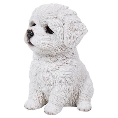 #ad Maltese Puppy $27.06