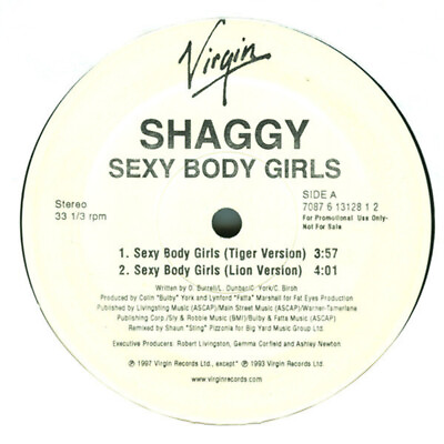 #ad Shaggy Sexy Body Girls 12quot; Promo $9.00