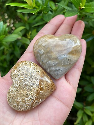 #ad Large Fossil Coral Heart 2quot; Polished Fossil Coral Jasper Puffy Heart Bulk Lot $12.85