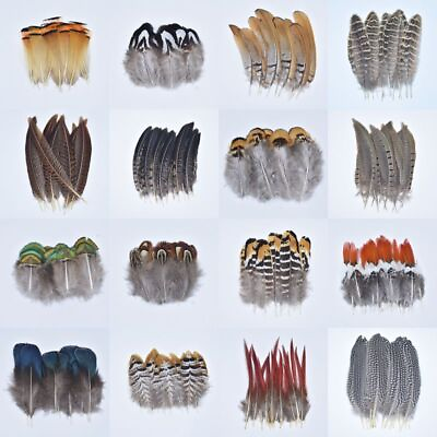 #ad 500pcs Natural Feathers Multi Style Feather Plumes DIY Sewing Clothes Decoration $169.79