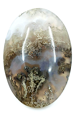 #ad 44.5ct Natural Moss Agate Oval Cabochon Landscape Untreated Unheated $19.35