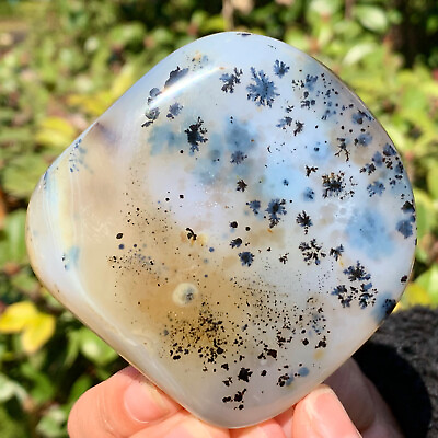 #ad 225G Beautiful natural agate tree snow crystal polished specimens Museum level $85.50