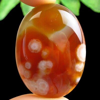 #ad D81740 Red White Onyx Agate Oval Cab Cabochon 40x30x7mm $10.91