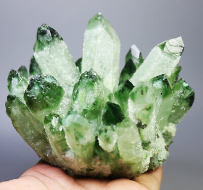 #ad 1.62lb RARE Natural Beatiful Green Quartz Crystal Cluster Mineral Specimen $87.99