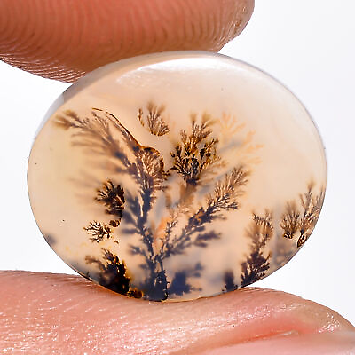 #ad 03.50 Cts. Natural Fantastic Scenic Dendritic Agate Oval 14X12X2 MM Cab Gemstone $18.99