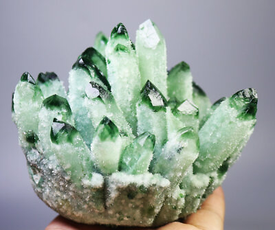 #ad 1.57lb RARE Natural Beatiful Green Quartz Crystal Cluster Mineral Specimen $85.99