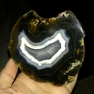 #ad RARE HQ AGATE SLICE POLISHED FROM TIMOR INDONESIA 90MM $38.29