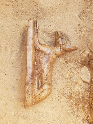 #ad Rare Antique Ancient Egyptian God Anubis Jackal Dead Grave mummy 2480 BC $180.00