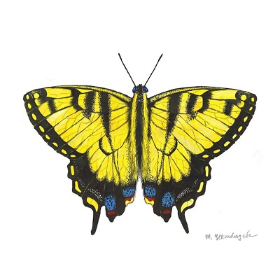 #ad 10x10 PRINT OF PAINTING RYTA BUTTERFLY TIGER SWALLOWTAIL SPRING Folk Art Decor $14.99