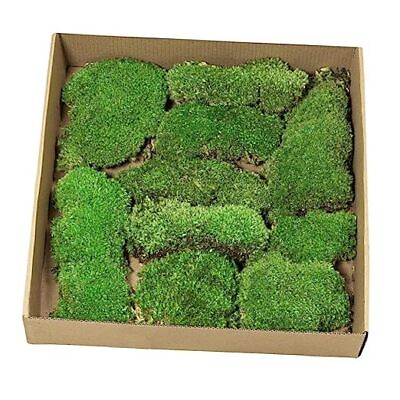 #ad Preserved Moss for Crafts No Smell amp; No Color Loss Green 02 Deep Green $37.31
