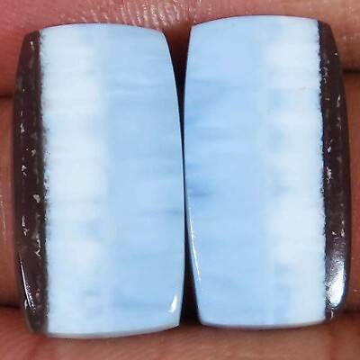 #ad A Untreated BLUE Opal Pair 22.05 Cts Cushion Cabochon 12x23x3 mm Gemstone BC123 $7.29