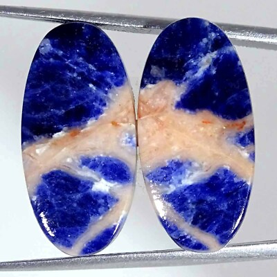 #ad 18.40Cts Natural Blue Sodalite Loose Gemstone Cabochon Oval Pair 12x23x4mm $6.99