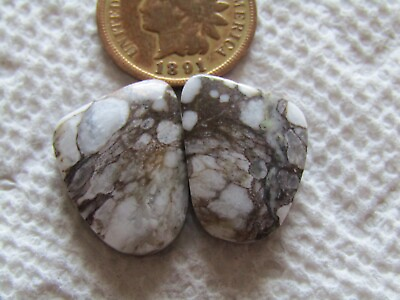 #ad 2 WildHorse Magnesite Cabs 21 carats wild horse Natural Matching Set Cabochons $27.30