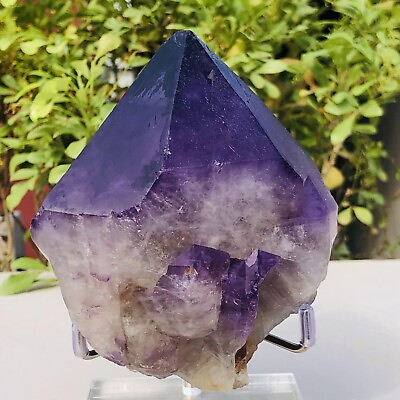 #ad 563g Natural Amethyst Quartz Crystal Points Rough Mineral Specimen Reiki Healing $99.00