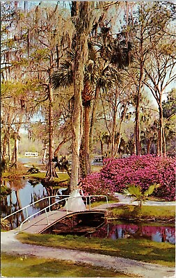 #ad Floridas Silver Springs Glass Bottom Boats FL Vintage Lusterchrome Postcard UNP $5.00