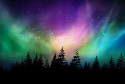 #ad Aurora Borealis Northern Lights Canadian Forest Photo Art Print Poster 54x36 $29.98