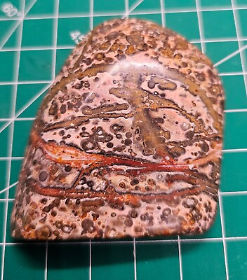 #ad Amazing Leopard Skin Jasper Free form Display Piece Withstand $20.00