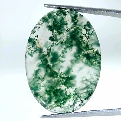 #ad 24.00Cts Natural Green Moss Agate Loose Gemstone Oval 22x31x4mm $6.99