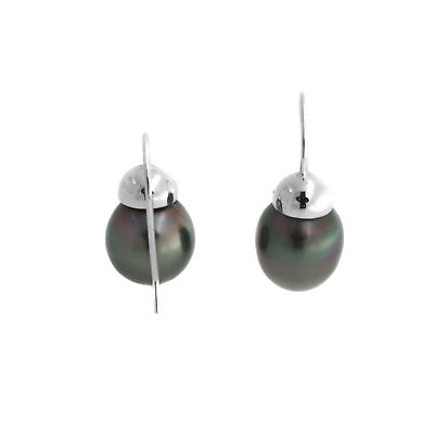#ad HSN Designs by Turia 12 13mm Cultured Tahitian Pearl Sterling Earrings $269.98