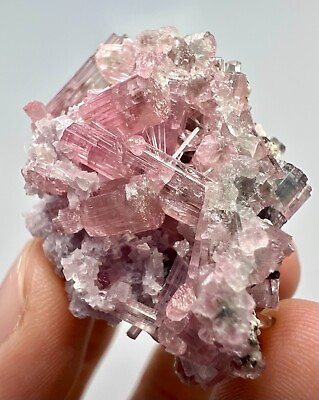 #ad 217 Carats extremely Beautiful BiColor Tourmaline Crystals Bunch @Kuner @AFG $249.99