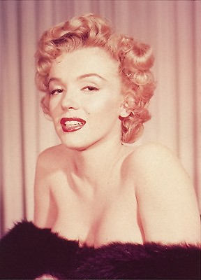 #ad MARILYN MONROE PORTRAIT OF BEAUTY IN BROWNFUR 1 RARE 5X7 GalleryQuality PHOTO $8.98