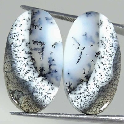 #ad 24.00Cts Natural Dendrite Opal Oval Pair Cabochon Loose Gemstone $7.99