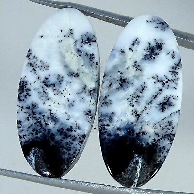 #ad 22.70 Cts Natural Dendrite Opal Loose Gemstone Oval Cabochon Pair 13X28X3MM $7.27