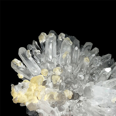 #ad 436g Top Chrysanthemum Quartz Natural Clear Crystal Cluster Specimen Point Heal $86.36