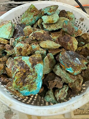 #ad Royston Turquoise stabilized 1lb lots free shipping limited stock $120.00