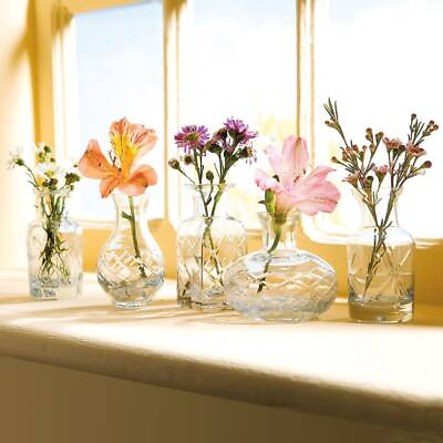 #ad Set of 5 Mini Vases for Flowers Five Piece Small Glass Bud Vases Clear $19.99
