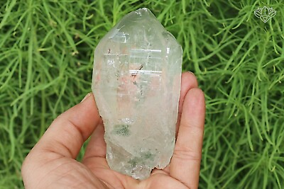 #ad AAA Himalayan Samadhi Green Chlorite Natural Minerals 280 gm Quartz Specimen $66.05